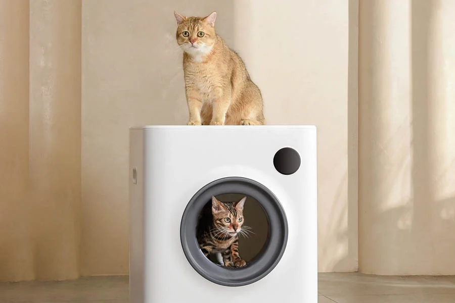 best litter boxes to control odor